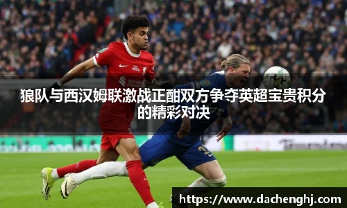 狼队与西汉姆联激战正酣双方争夺英超宝贵积分的精彩对决